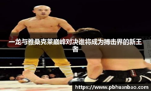 一龙与雅桑克莱巅峰对决谁将成为搏击界的新王者
